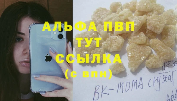 индика Няндома
