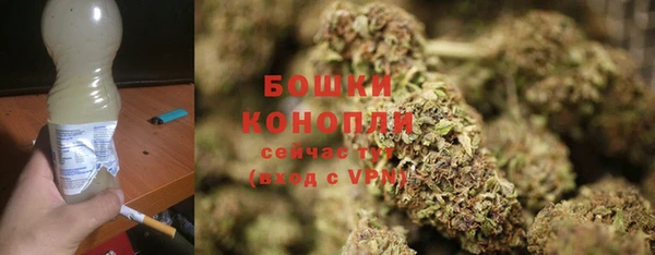 индика Няндома