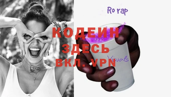 индика Няндома