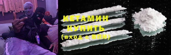 индика Няндома