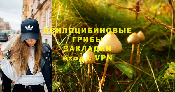 стаф Нягань