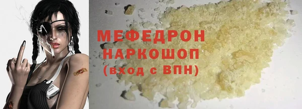 индика Няндома