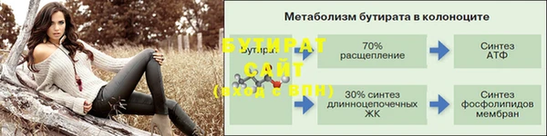 индика Няндома