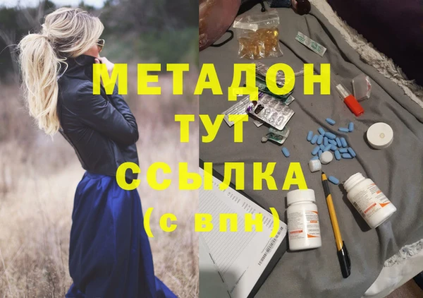индика Няндома