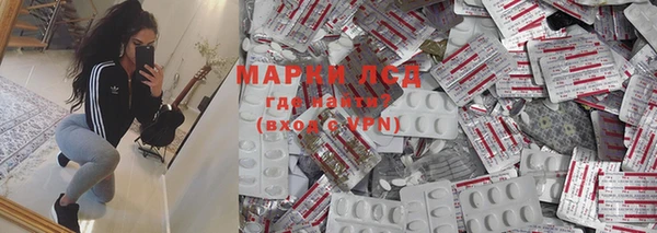 индика Няндома