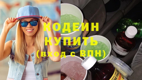 индика Няндома