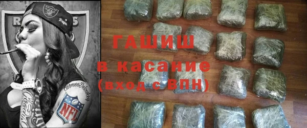 индика Няндома