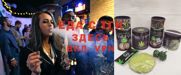 индика Няндома
