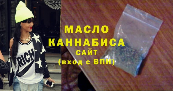 индика Няндома