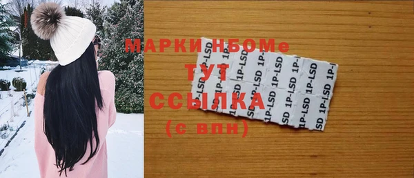 индика Няндома