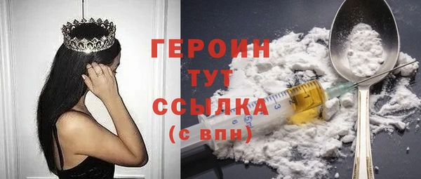 индика Няндома