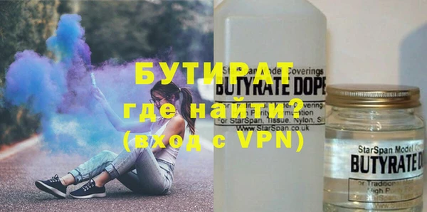 индика Няндома